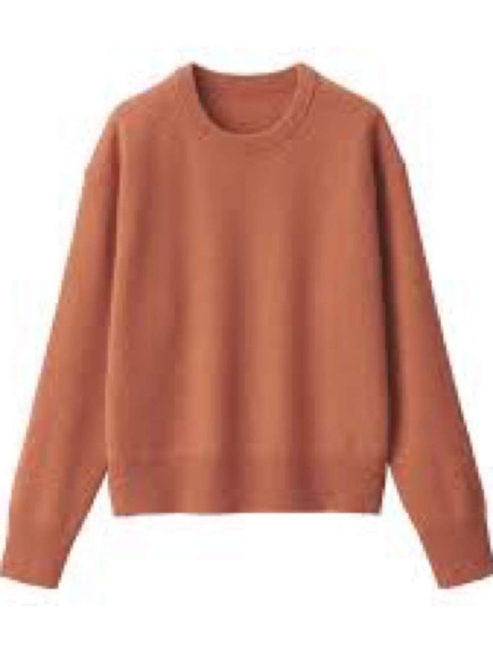 Muji Crewneck Sweater in Terra Cotta
